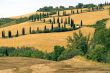 Famous winding road with cypresses in Tuscany