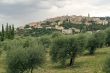 Panoramic view of Seggiano with old olive trees