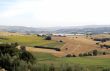 Landscape in Tuscany at summer