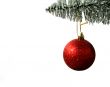 Christmas Ornament and Pine Tree
