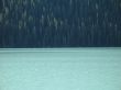 calm lake and forest