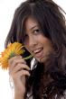 lovely female with gerbera