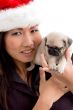 woman with cute puppy and christmas hat