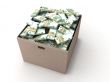 three dimensional euro bundles on cardboard