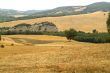 Landscape in Tuscany at summer