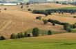 Landscape in Tuscany at summer