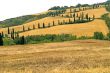 Famous winding road with cypresses in Tuscany