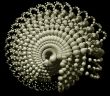 abstract snail