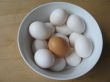 white and brown egg