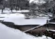 Winter Snow