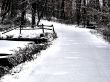 Winter Snow