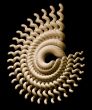 abstract swirl