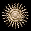 abstract sun