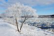 Hoarfrost on the river