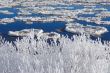 Hoarfrost on the river