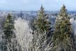 The first hoarfrost