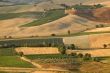 Panoramic view from Montalcino (Siena)