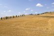 Crete senesi, characteristic landscape in Val d`Orcia
