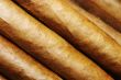 Cigars in a row close-up