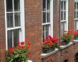 planters on the side of windows