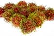 Rambutan, exotic fruit