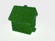 grass-house