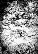 grunge marble