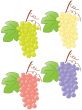 grape