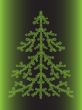 fir-tree