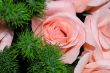 Pink roses bouquet