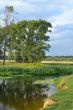 Landscape with small river on summer day