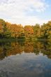 Autumn colors and water mirror