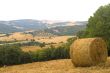 Landscape in Tuscany at summer