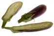 Aubergine
