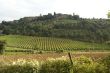 Landscape near Sant`Antimo (Tuscany)