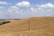 Crete senesi, characteristic landscape in Val d`Orcia