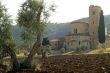Church of Sant`Antimo (Tuscany)