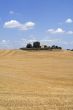 Farm in Tuscany, near Siena