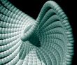 abstract organism