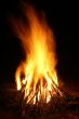 Burning campfire flames