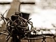 Barbed wire skein