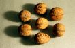 The 7 walnuts on the gray ground