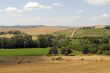 Landscape in Tuscany at summer
