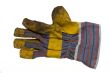 glove