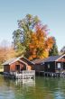 autumn scene at the lake