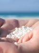 small shells in the palm of a hand
