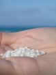 small shells in the palm of a hand