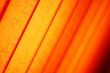 Orange Background Texture