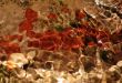 Underwater Composition