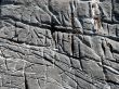 Limestone Texture